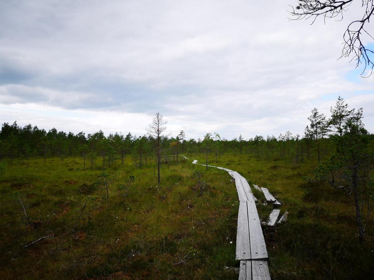 Koivuniemi *